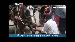 सौराहाका पर्यटन व्यवसायी पलायनको बाटोमा - NEWS24 TV