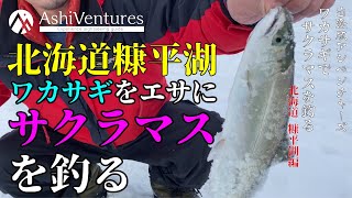 【北海道　糠平湖　後編】ワカサギをエサにサクラマス氷上釣りに挑戦！【芦別 アシベンチャーズ 出張版】