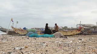 Climate change: Crisis and opportunities for Africa • FRANCE 24 English