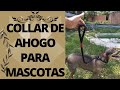 lazo para perros, collar de ahogo para perros, mascotas, talabarteria.