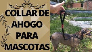 lazo para perros, collar de ahogo para perros, mascotas, talabarteria.