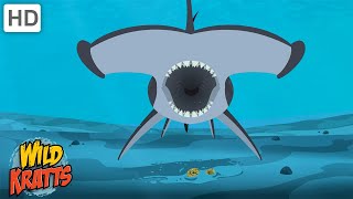 Why Do Hammerhead Sharks Have Hammer Heads? | Wild Kratts