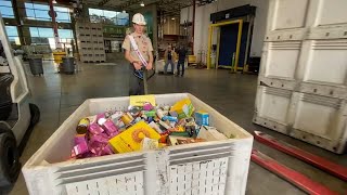 Scouts partner with Bay Area food banks for annual holiday collection drive