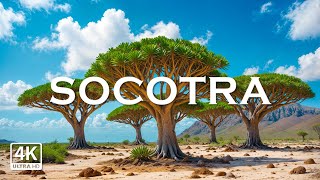 Socotra Island, Yemen 4K - Stunning Footage Socotra, Scenic Relaxation Film with Calming Music