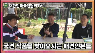 국견 작품 진돗개를 찾아오시는 애견인 분들 | 대한민국국견협회TV