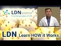 LDNscience® Presents - How LDN (Low Dose Naltrexone) Works