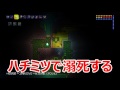 part 69【テラリア】全てのハチミツを1つに！！ps4 terraria実況