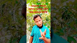 আজকে পহেলা বৈশাখ তোমাকে ইলিশ মাছ আনতে কইছি🤣🤣🤣 #comedy #funny #viral #shorts