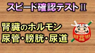 【聞き流し・スピード確認テストⅡ・68】腎臓のホルモン・尿管・膀胱・尿道（解剖生理学・泌尿器系）