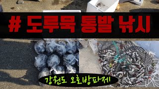 강원도 도루묵 통발 낚시 (with 네이버 클로바더빙)