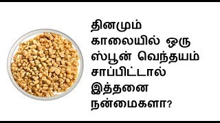 தினமும் காலையில் ஒரு ஸ்பூன் வெந்தயம் சாப்பிட்டால் இத்தனை நன்மைகளா?  fenugreek herb, methi benefits