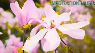 Sleep music,Relaxing,Meditation,24/7,Spa,Yoga,Study,Violin,Beautiful,Minute,Piao,soothing relaxation