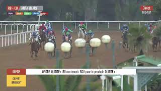 Live Hippodrome « CASABLANCA » | Courses du « 17/01/2025 »