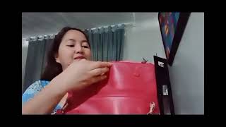 Lovcat bag, my bag video #7 | Nalyn's Journey