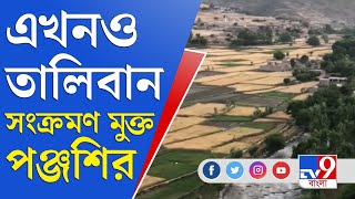 তালিবান মরুভূমিতে একচিলতে 'মরুদ্যান', পঞ্জশির | Afghanistan | Taliban | Panjshir