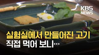 세포로 키워 만든 ‘배양육’ 먹어 보니… / KBS