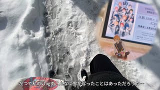 女王蜂のライブin新潟❄️/Unite Up!リリイベin越谷レイクタウン【推し活VLOG/オタク/オタ活】