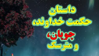 داستان حکمت خداوند، چوپان و مترسک