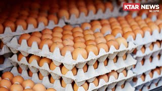 Exploring what President Trump might do to bring down egg prices