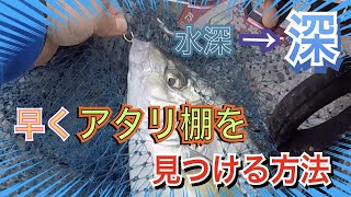 アタリ棚を早く見つけるためにこうします【水宝】釣ガチ海上釣堀#153