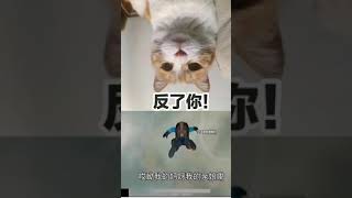 【张哲瀚】#zhangzhehan #小猫猫  你的技术玩游戏还有限 😂 笑死了😬|Your playing game skill is limited