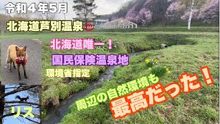 【温泉地♨️癒し散歩🚶‍♂️】北海道唯一の国民保養温泉地芦別温泉おふろcafe星遊館から周辺の自然環境をお散歩〜野生のリス、ホトトギスとのセッションも！歩いた気になれます#525