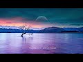 Novo Amor - Seneca (lyrics)