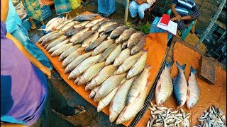 পাইকারি মাছের বাজার, পোর্ট রোড, বরিশাল - Wholesale Fish Market, Port Road, Barisal