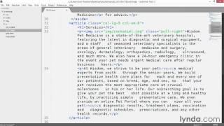3 Adjusting column widths using offset