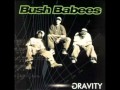 Bush Babees - Gravity -