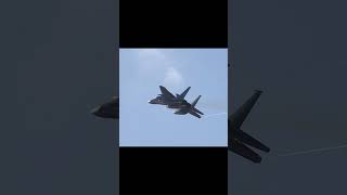 【千歳基地】F-15イーグル〜良い捻りで離陸する203SQ #shorts