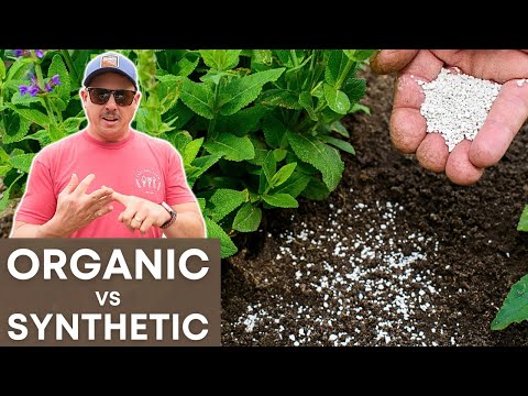 What are the pros and cons of organic fertilizers?