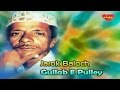 Jarok Baloch - Gullab E Pulley - Balochi Regional Songs