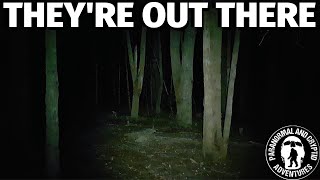 YOWIE AUDIO CAPTURED ON CAMERA || Australian bigfoot / sasquatch