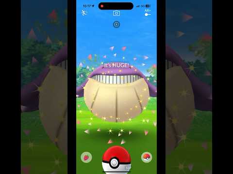 Catch Shiny Wailmer Size XXL In Pokémon Go Sizeable Surprises Event!! # ...