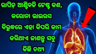 ରାପିଡ଼ ଆଣ୍ଟିବଡି ଟେଷ୍ଟ କଣ, କରୋନା ଭାଇରସ ବିରୁଦ୍ଧରେ ଏହା କିପରି କାମ କରିଥାଏ ଜାଣନ୍ତୁ