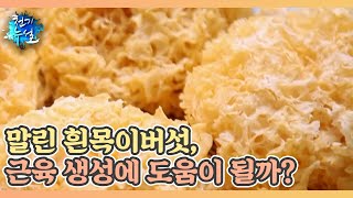 말린 흰목이버섯, 근육 생성에 도움이 될까? MBN 210910 방송