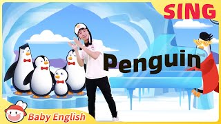 Penguin | 企鹅 | Awesome Animals | Songs for Kids