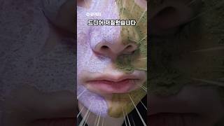 약초침 모공팩 VS 스피큘 머드팩