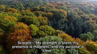 strong affirmations for every zodiac sign