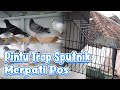 Membuat Pintu Trap Merpati Pos Model Sputnik