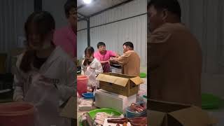 手背粗 烏魚子登場 流口水了 中彰海龍王 竹東市場 Amazing seafood auction, crazy price, #freshseafood 2 MP4 7 12 02 2024 Dec