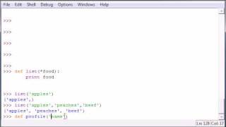 Python Programming Tutorial - 29 - Multiple Parameters