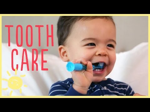 TIPS | TODDLER TOOTH CARE w/ pediatric dentist TIPS | TODDLER TOOTH CARE w/ pediatric dentist