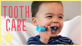 TIPS | TODDLER TOOTH CARE w/ pediatric dentist