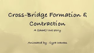 Crossbridge Formation Animation | Muscle Contraction Explained