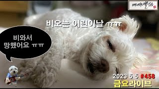 어린이날 비와서 우울한 뽁뽁이 금요라이브 #통기타 #7080 #포크뮤직