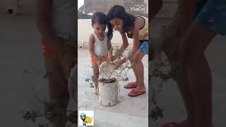 #Anuj Giving Water To Plant With His Brother \u0026 Sister....🌱🌱