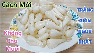 Bí Quyết Ngâm Kiệu Trắng Giòn Ngon Nhất Không Cay Nồng Để Được Rất Lâu | HVMĐ 466