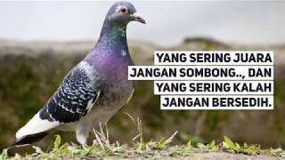 Playtube Pk Ultimate Video Sharing Website